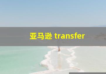 亚马逊 transfer